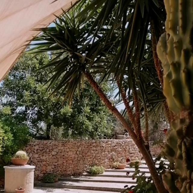 Masseria Agriturismo Il Sorriso Degli Ulivi - Dimora Di Charme กัลลีโปลี ภายนอก รูปภาพ