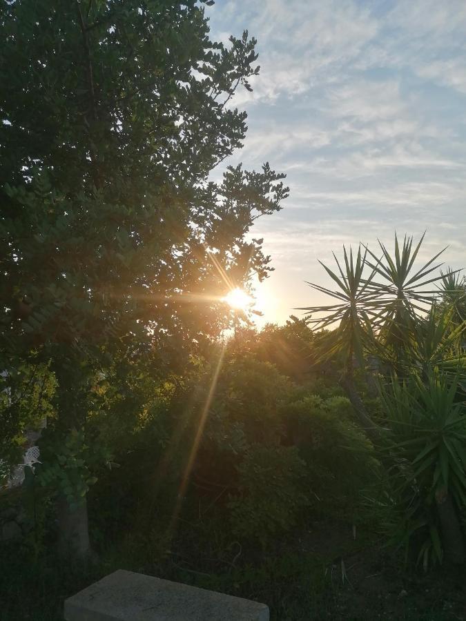 Masseria Agriturismo Il Sorriso Degli Ulivi - Dimora Di Charme กัลลีโปลี ภายนอก รูปภาพ