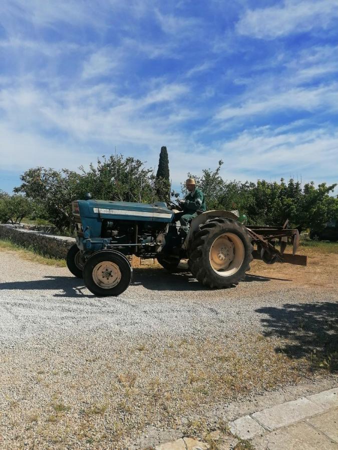 Masseria Agriturismo Il Sorriso Degli Ulivi - Dimora Di Charme กัลลีโปลี ภายนอก รูปภาพ