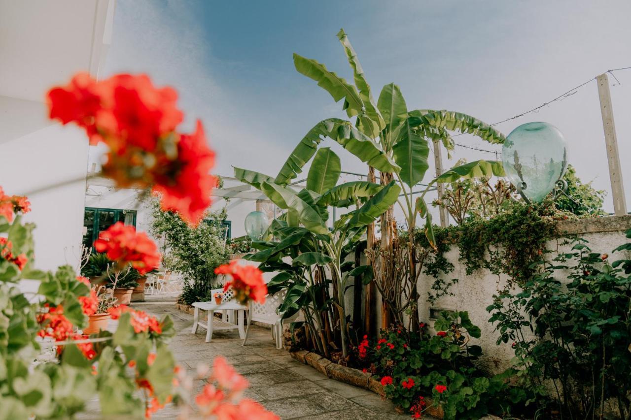 Masseria Agriturismo Il Sorriso Degli Ulivi - Dimora Di Charme กัลลีโปลี ภายนอก รูปภาพ