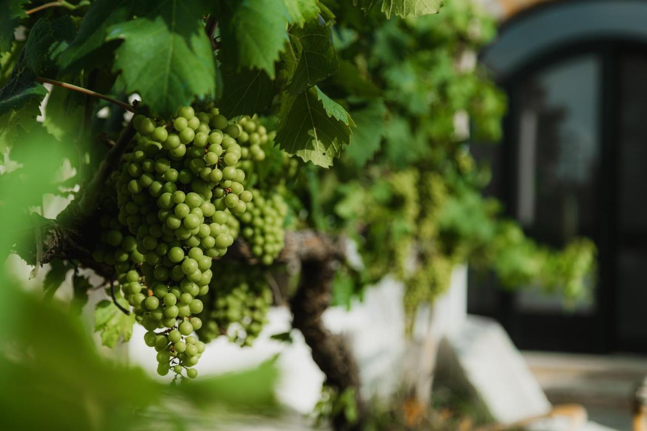 Masseria Agriturismo Il Sorriso Degli Ulivi - Dimora Di Charme กัลลีโปลี ภายนอก รูปภาพ